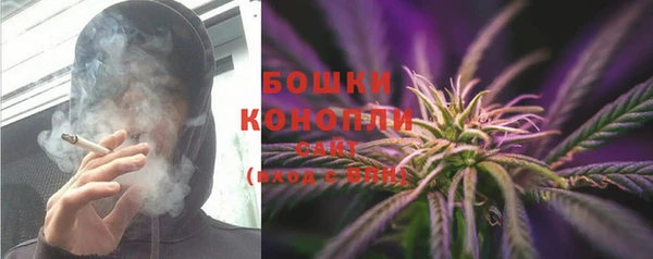 бошки Горняк