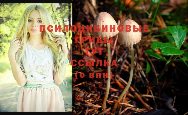 крисы Горнозаводск