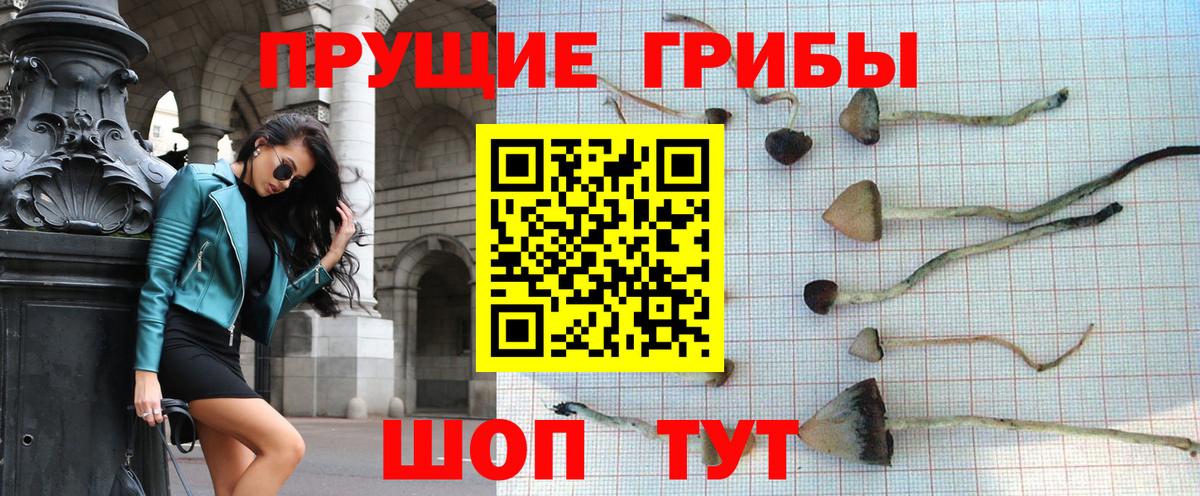 Псилоцибиновые грибы мицелий Ханты-Мансийск
